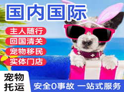 三源浦航空快递国际宠物托运 【国
